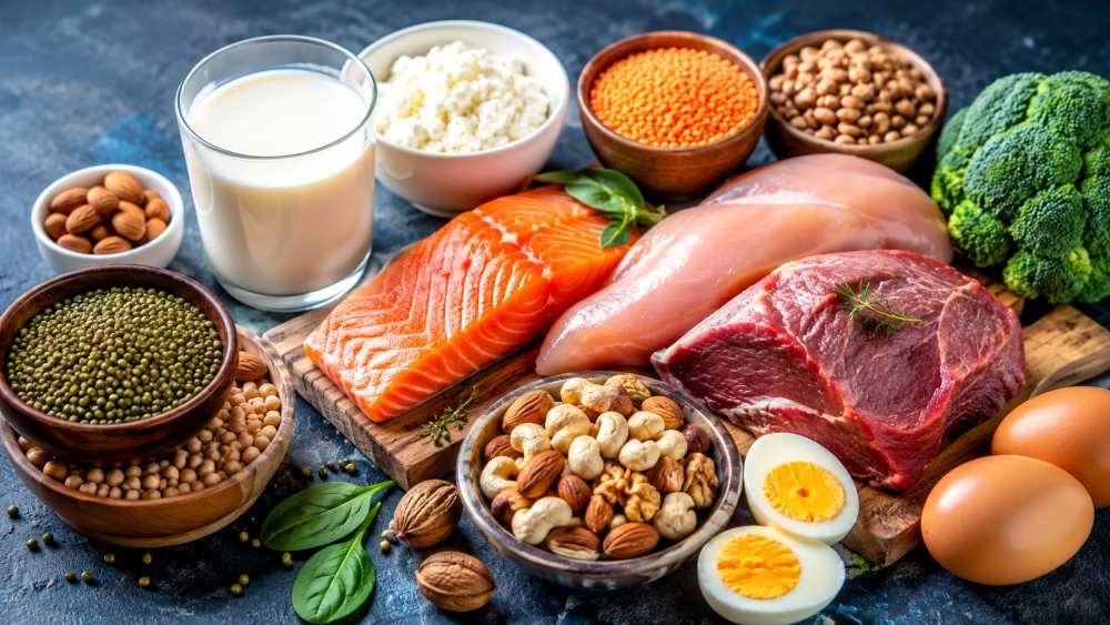 High Protein Foods for Muscle Repair